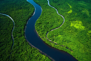 Natural forest landscape. Green jungle and river, ,wooded area, aerial view . 