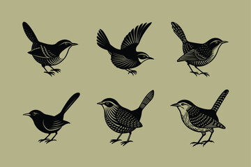 Carolina Wren bird, silhouette vector illustration