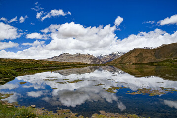 lake in the mountains