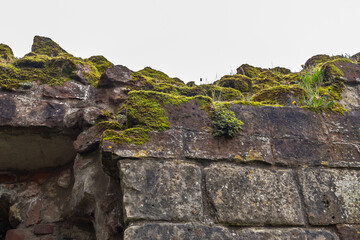 Green moss growing on old stone of ancient ruins