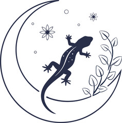 lizard isolated on white background