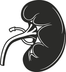 Set of human kidney vector icons Silhouette Vector 10 EPS.