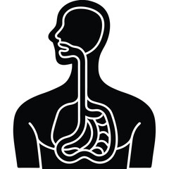 inner part of human body silhouette design on white background 