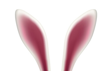 Realistic white rabbit or bunny ears - easter decorative element on transparent background