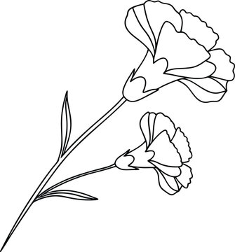 carnation flowers black and white outline clip art preview