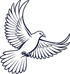 dove of peace vector