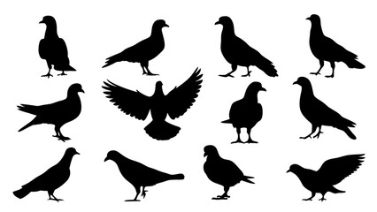 set of dove silhouette vector on white background