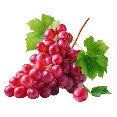 Fototapeta premium Juicy Red Grapes with Green Leaves Fresh Bunch of Ripe Fruit