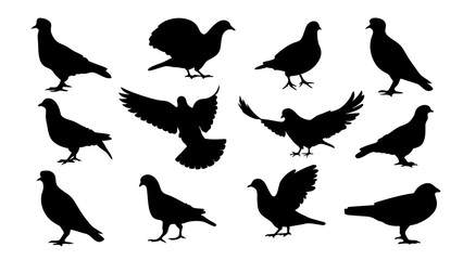 set of dove silhouette vector on white background