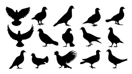 set of dove silhouette vector on white background