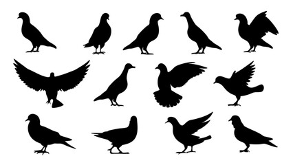 set of dove silhouette vector on white background
