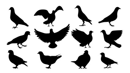 set of dove silhouette vector on white background