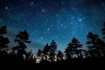 Naklejka premium Forest Silhouette Under Starry Sky Landscape for nature, background use