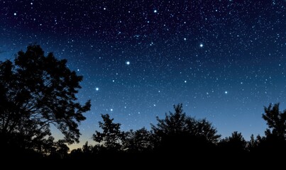 Starry night with trees in silhouette against a gradient night sky for print