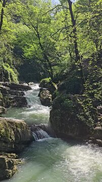 Shir abad jungle nature