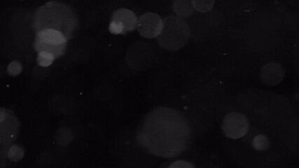 Soft white bokeh light particles with magical glow overlay for cinematic and romantic dreamy video editing - Powered by Adobe