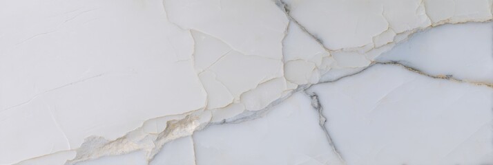 Fototapeta premium Abstract white marble texture (1)