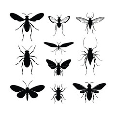 Vector silhouette of collection of flying insect
