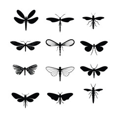 Flying insect vector icon set in flat style black color silhouette