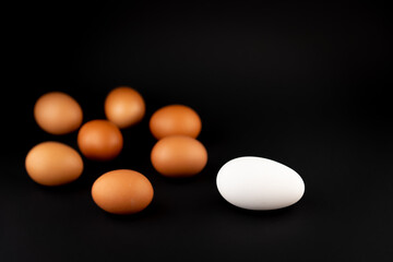 A large white goose egg and seven small brown chicken eggs.
The eggs lies on a black...