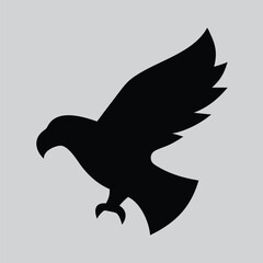Eagle Flying in the sky