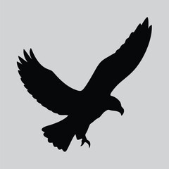 Flying in the sky of Eagle 3