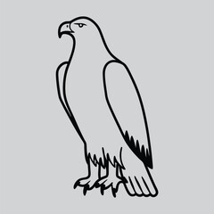 eagle vector illustration