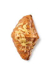 Salty fresh croissant with cheese and ham isolated on white background