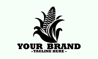 Detailed black and white line art illustration of a fresh of sweet corn. Corn food concept, corn logo design and draw black and white corn illustration, vintage corn illustration