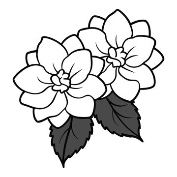 two white flowers with gray leaves clip art preview