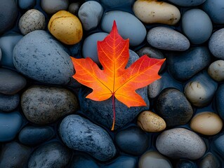 Single maple leaf in focus, warm blurred bokeh background, autumn colors, macro style, soft light