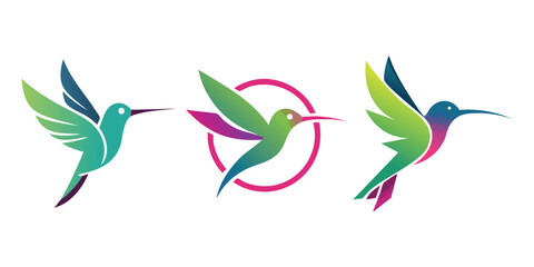 Stylized Hummingbird Illustration &ndash; Colorful Vector of a Flying Bird in Minimal Modern Style