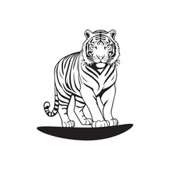 tiger on white background, wild roaring tiger full body vector illustration. 