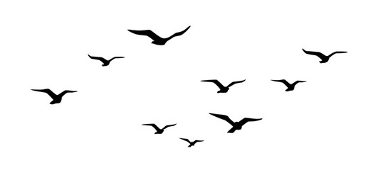 A flock of flying birds, Flying birds silhouettes vector, group of birds flying