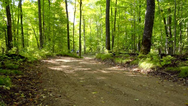 ATV Hayward Stock Clip 15