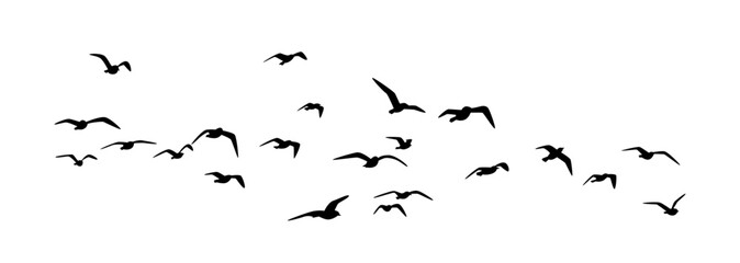 Flying birds vector, Flock of birds, Black vector flying birds flock silhouettes