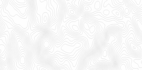 White topography topology vector white background fresh contour map texture. white seamless pattern Abstract background with a wave Topography and geography map grid abstract backdrop.