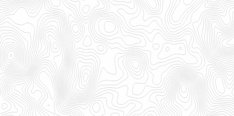Obraz premium White topography topology vector white background fresh contour map texture. white seamless pattern Abstract background with a wave Topography and geography map grid abstract backdrop.