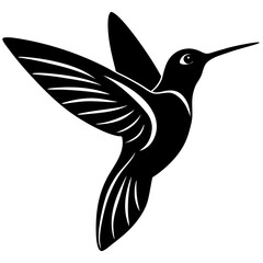 Fototapeta premium hummingbird vector illustration