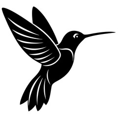 hummingbird vector illustration