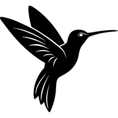 hummingbird vector illustration