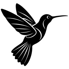 hummingbird vector illustration