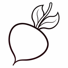 vector illustration of a beetroot