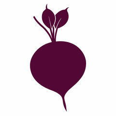 vector illustration of a beetroot