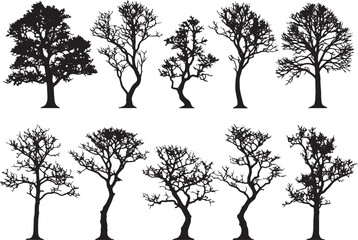 Obraz premium Black and White Tree Silhouettes Illustration – Diverse Winter Trees and Botanical Line Art