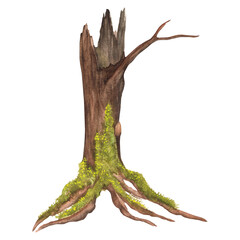 An old hollow tree with a branch and olive green moss on the roots. Garden clipart. Deep forest hollow tree. Hand-drawn watercolor illustration. For postcards, scrapbooking © Elena Valeto
