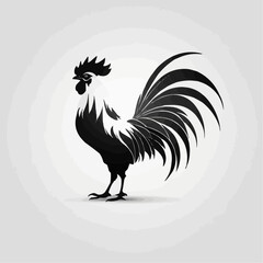 rooster isolated on white background