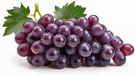 Fototapeta premium Dark purple grapes with natural blooms, attached to a short stem with fresh green leaves, appear plump, juicy, and slightly shined, isolated on a white background.