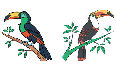 Toucan bird with white background eps vector