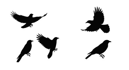 Set of Black Animal Silhouettes Flat Vector Collection on White Background
